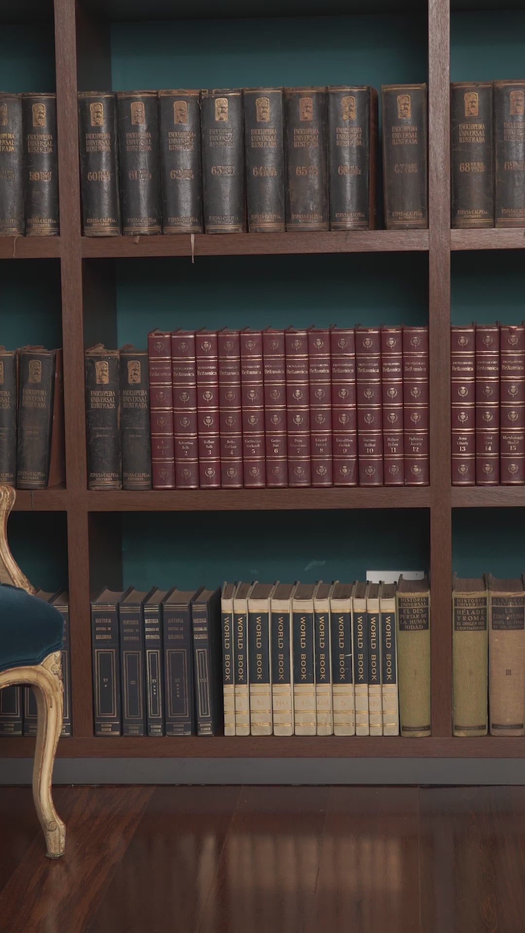 MEMBERSHIP DRESS KIDS-4