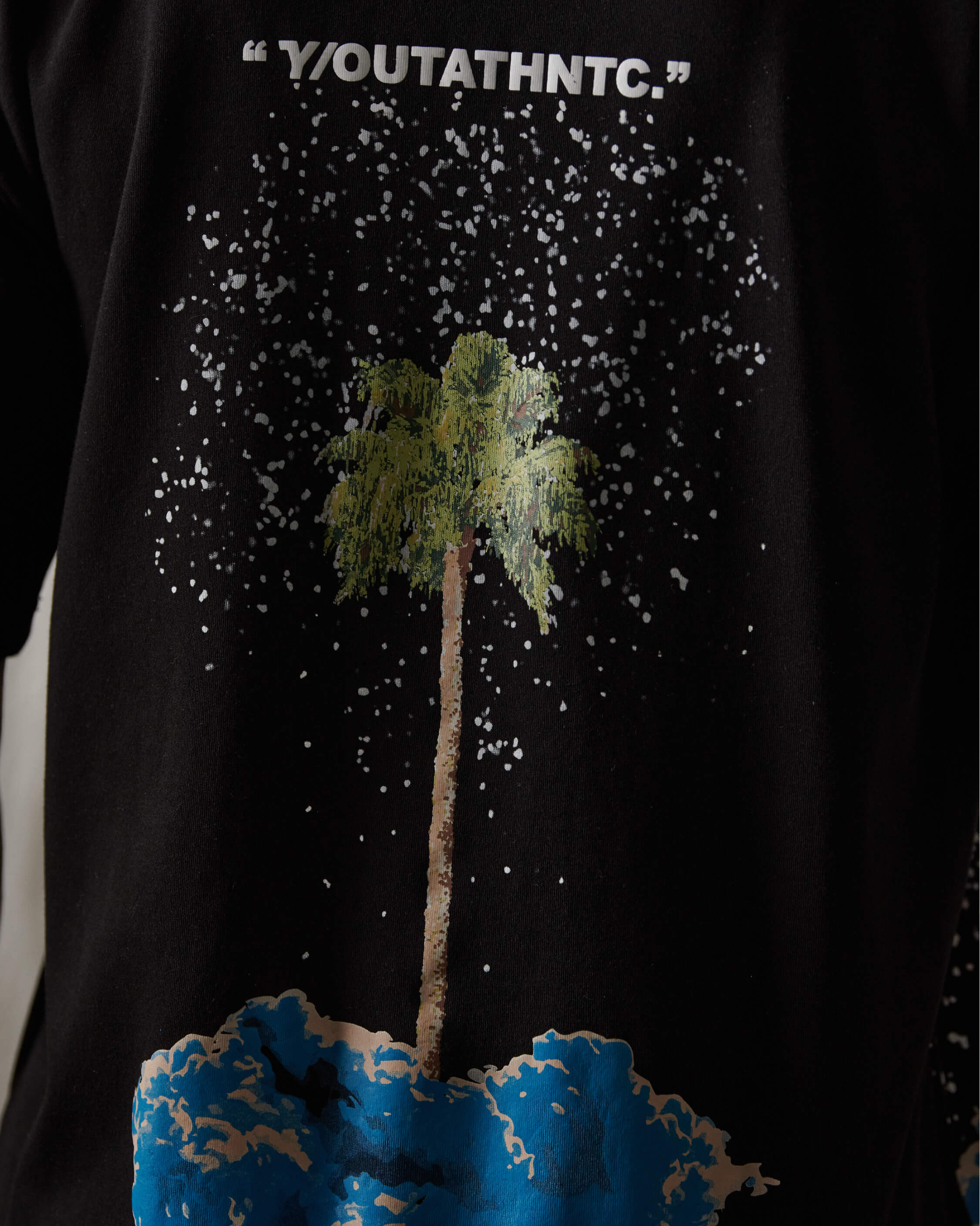 SNOW PALM